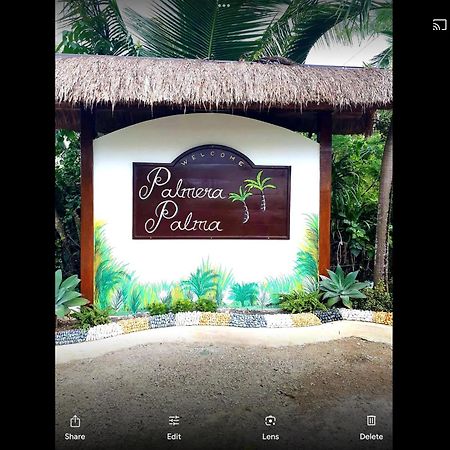 Palmera Palma Top Floor 莫阿尔博阿 外观 照片